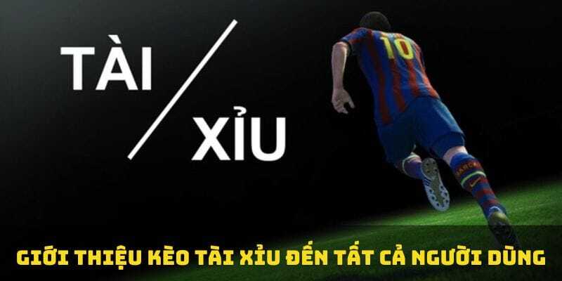 Kèo Tài Xỉu Là Gì? Cách Đọc Kèo Tài Xỉu Hay Từ Cao Thủ 3 Kèo Tài Xỉu 2 trái